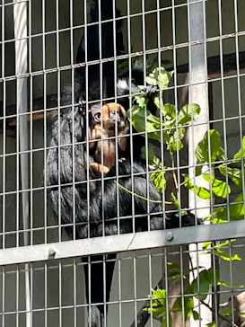 天王寺動物園に投稿された画像（2023/5/2）