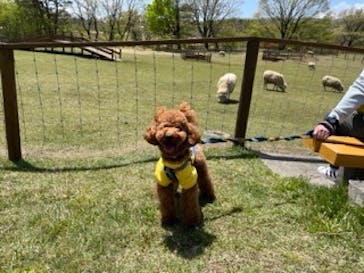 那須どうぶつ王国に投稿された画像（2023/5/2）