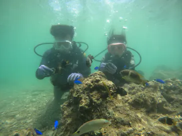 武藤潜水に投稿された画像（2023/5/2）