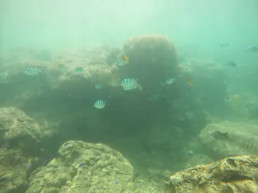 武藤潜水に投稿された画像（2023/5/2）