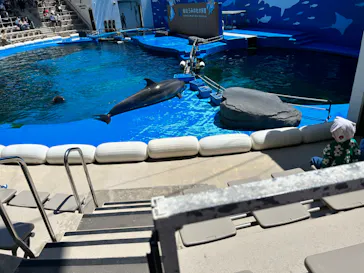 仙台うみの杜水族館に投稿された画像（2023/5/2）