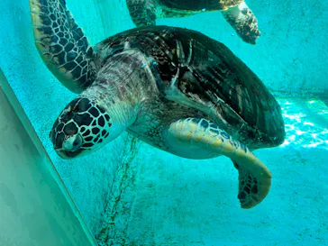 仙台うみの杜水族館に投稿された画像（2023/5/2）