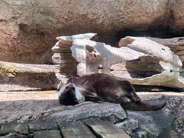 仙台うみの杜水族館に投稿された画像（2023/5/2）