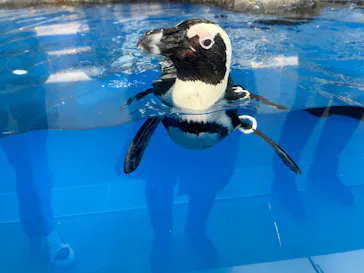仙台うみの杜水族館に投稿された画像（2023/5/2）