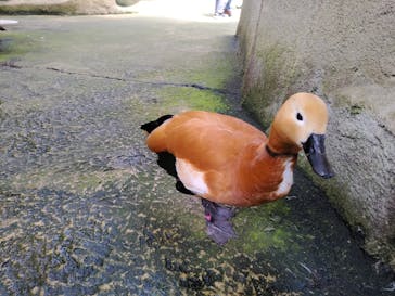 那須どうぶつ王国に投稿された画像（2023/5/2）