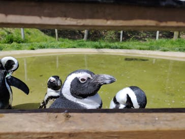 那須どうぶつ王国に投稿された画像（2023/5/2）