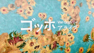 ゴッホ・アライブ神戸に投稿された画像（2023/5/2）