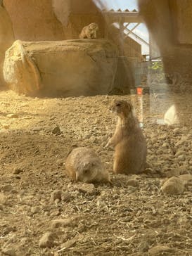 那須どうぶつ王国に投稿された画像（2023/5/2）