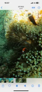 武藤潜水に投稿された画像（2023/5/2）