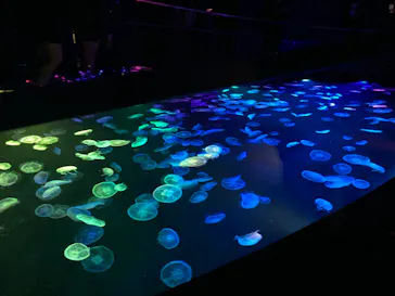 すみだ水族館に投稿された画像（2023/5/2）