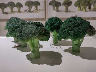 MINIATURE LIFE展 ー田中達也 見立ての世界ーに投稿された画像（2023/5/2）