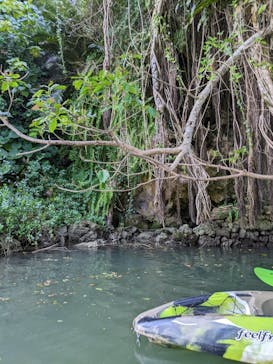 比謝川カヤックに投稿された画像（2023/5/2）