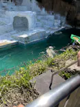 天王寺動物園に投稿された画像（2023/5/2）