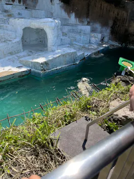 天王寺動物園に投稿された画像（2023/5/2）