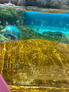 天王寺動物園に投稿された画像（2023/5/2）