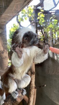 日立市かみね動物園に投稿された画像（2023/5/2）