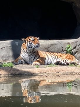 日立市かみね動物園に投稿された画像（2023/5/2）