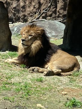 日立市かみね動物園に投稿された画像（2023/5/2）