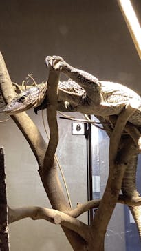 日立市かみね動物園に投稿された画像（2023/5/2）