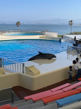 マリンワールド海の中道に投稿された画像（2023/5/2）