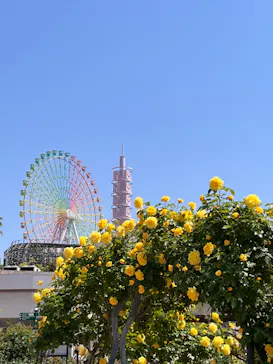 ひらかたパークに投稿された画像（2023/5/2）