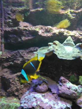 サンシャイン水族館に投稿された画像（2023/5/2）