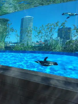 サンシャイン水族館に投稿された画像（2023/5/2）