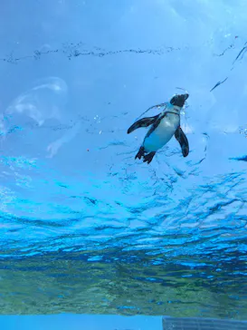 サンシャイン水族館に投稿された画像（2023/5/2）