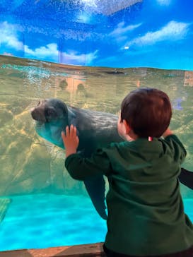 しながわ水族館に投稿された画像（2023/5/2）