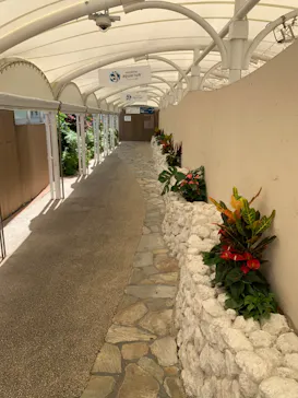 サンシャイン水族館に投稿された画像（2023/5/2）