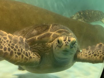 マリンワールド海の中道に投稿された画像（2023/5/2）