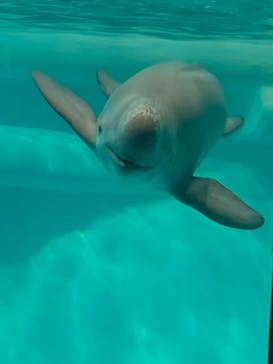 マリンワールド海の中道に投稿された画像（2023/5/2）