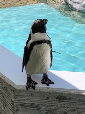 マリンワールド海の中道に投稿された画像（2023/5/2）