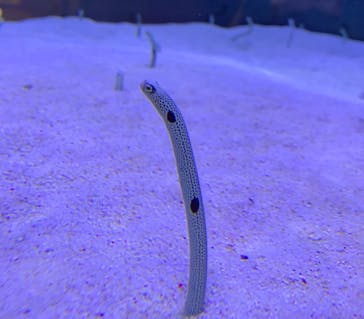 マリンワールド海の中道に投稿された画像（2023/5/2）