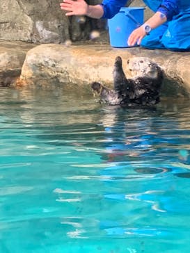 マリンワールド海の中道に投稿された画像（2023/5/2）