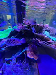 名古屋港水族館に投稿された画像（2023/5/2）