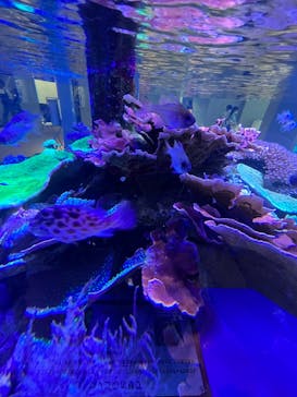 名古屋港水族館に投稿された画像（2023/5/2）