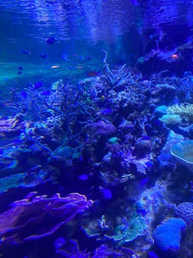 名古屋港水族館に投稿された画像（2023/5/2）