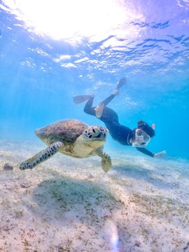 nico 宮古島に投稿された画像（2023/5/2）