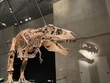 特別展「恐竜博2023」に投稿された画像（2023/5/2）