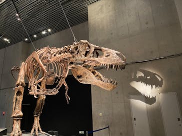 特別展「恐竜博2023」に投稿された画像（2023/5/2）