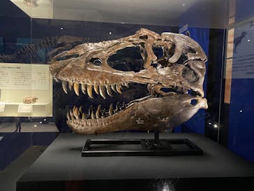 特別展「恐竜博2023」に投稿された画像（2023/5/2）