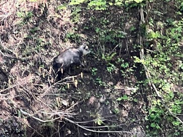清津峡渓谷トンネルに投稿された画像（2023/5/2）