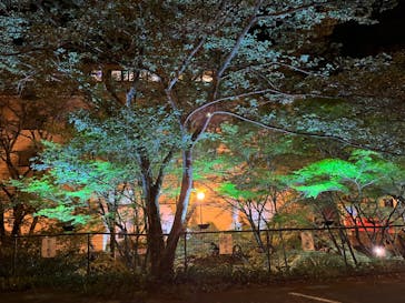 アソビュー株式会社　150881に投稿された画像（2023/5/2）