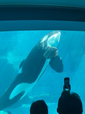 名古屋港水族館に投稿された画像（2023/5/2）