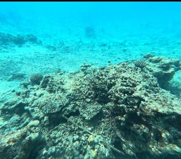 石垣島 ADVENTURE PiPi（イシガキジマアドベンチャーピピ）に投稿された画像（2023/5/2）