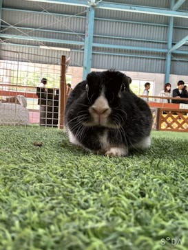 伊香保グリーン牧場に投稿された画像（2023/5/2）