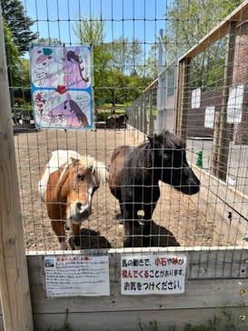 伊香保グリーン牧場に投稿された画像（2023/5/2）