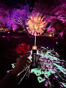 NAKED 桜の新宿御苑 2023に投稿された画像（2023/5/2）