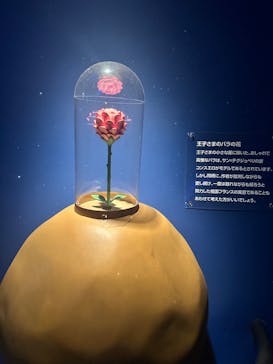 星の王子さまミュージアム 箱根サン=テグジュペリに投稿された画像（2023/5/2）